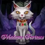 Madame Fortune icon